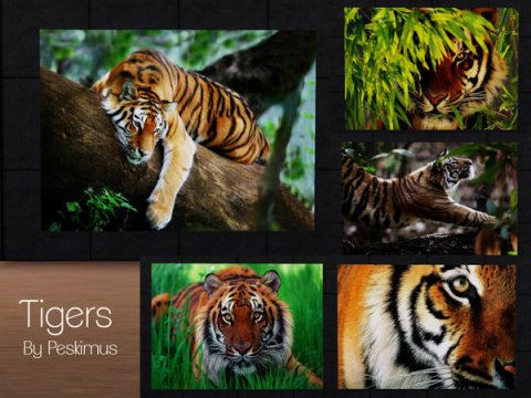 Картины Tigers от Peskimus