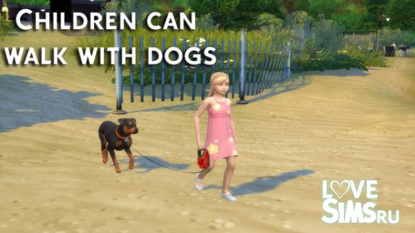 Дети могут гулять с собаками