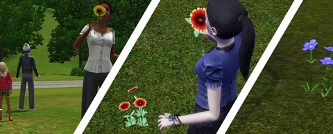Полевые цветы The Sims 3 Времена Года