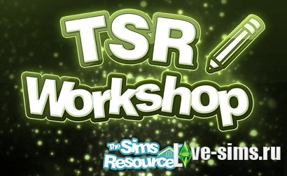 Программа TSR Workshop (Воркшоп)