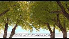 Деревья от ConceptDesign97