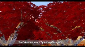 Деревья от ConceptDesign97