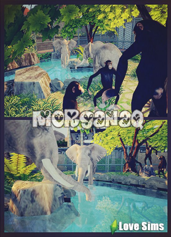 Зоопарк Гранд-Каньон от MORGANAQ