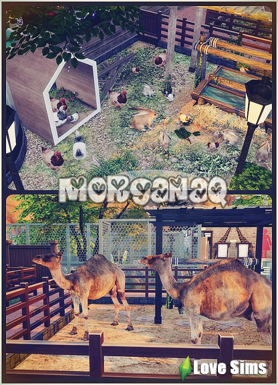 Зоопарк Гранд-Каньон от MORGANAQ