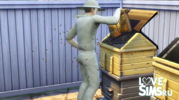 Навык пчеловодство в Симс 4