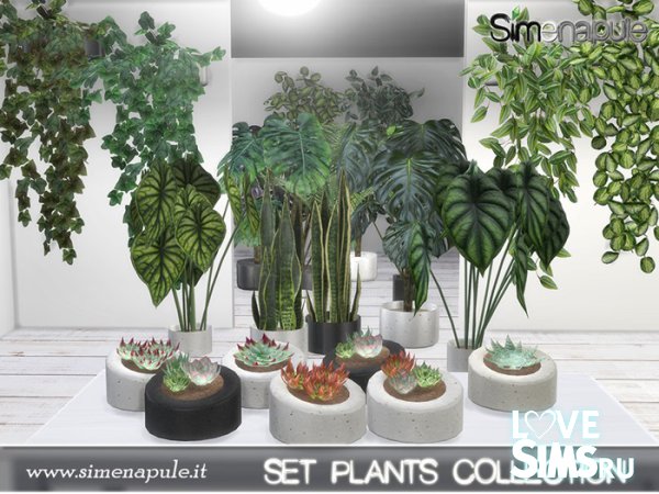 Коллекция растений от Simenapule