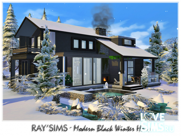 Дом Modern Black Winter House
